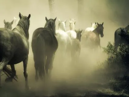 Midnight Hymn For Dusty Outlaws