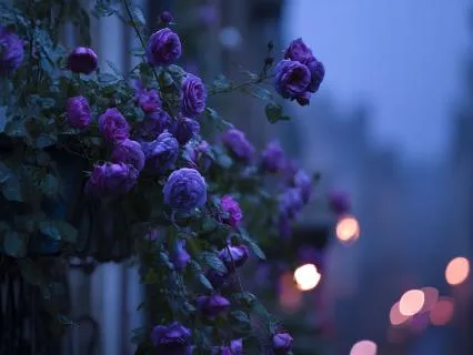 Midnight Rain In Paris: Short Drift To Sleep