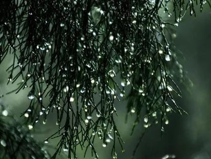 Midnight Rain Reflections