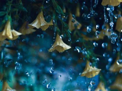 Midnight Rain & Velvet Dreams : 8 Hour + Deep Sleep Track