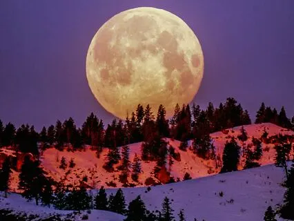 Midnight Reflections: Ambient Guitar