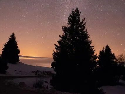 Midnight Tranquility