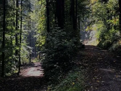 Midpoint On The Path Of Practice