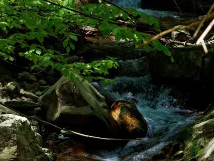 Midsummer Night’s Dream Ambience