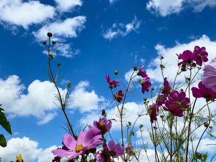 Медитация «Я – Небо»