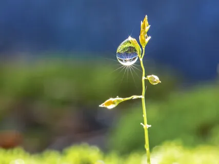 Наблюдение За Дыханием