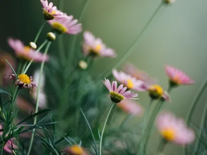 Медитация Антистресс. Вечерняя Практика