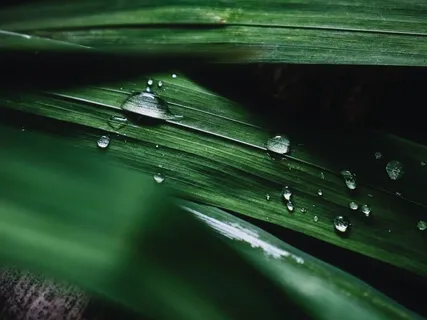 Медитация Атма Вичара. Присутствие в Моменте