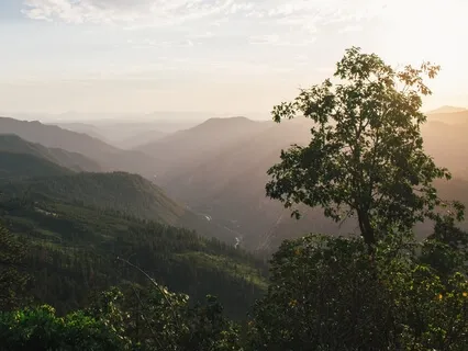 Медитация Благодарности