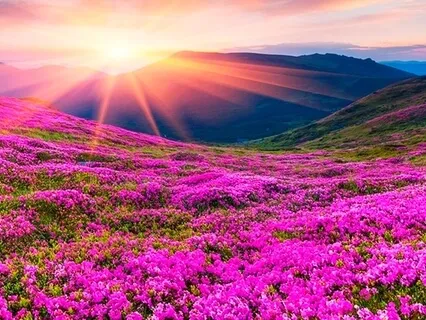 Медитация Благодарности