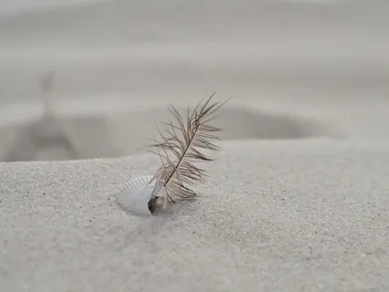 Медитация Благодарности