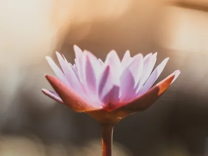 Медитация для Шавасаны: позы расслабления в йоге