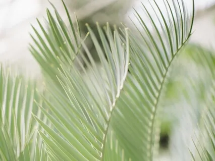 Медитация Для Набора Энергии