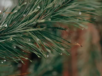 Медитация Для Преодоления Трудностей