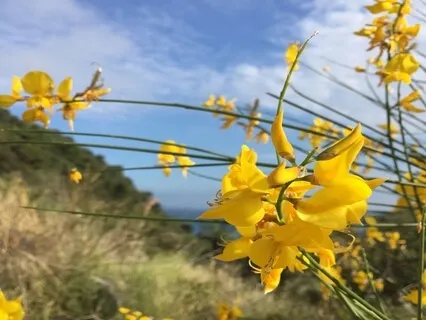Медитация для Релаксации