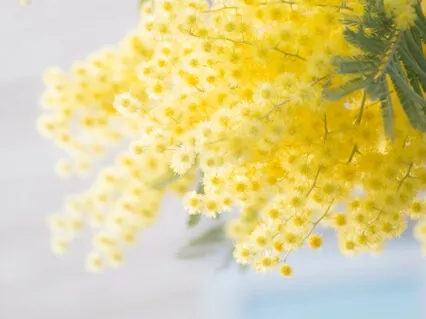 Медитация Для Утра. Отличное Начало Дня