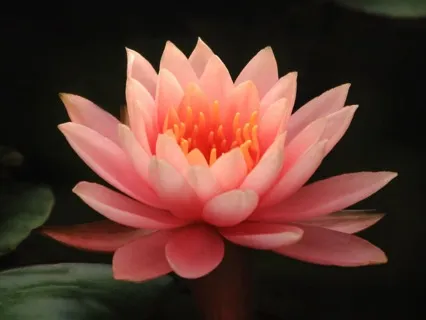 Медитация для Женщин. Баланс и Равновесие + Аффирмации