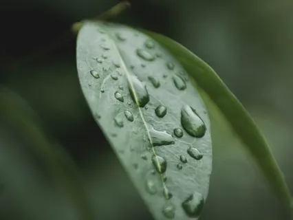 Медитация - Духовный Дом