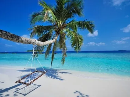 Дзен Путешествие На Мальдивы