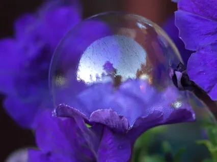 Медитация йога-нидра сокращенный вариант