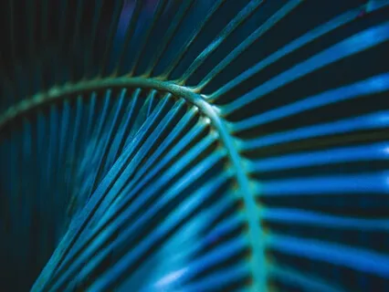 Медитация Исполнения Желаний