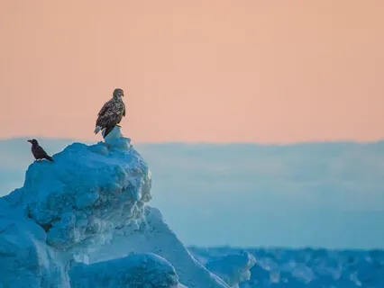 Медитация Исцеления Обиды. Быстрый Метод Прощения