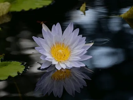 Медитация Исцеление Нервной Системы и Психики