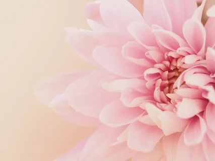 Медитация Исцеление Сердца. Разблокировка чакры