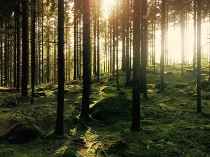 Когда Нужно Поддержать Себя