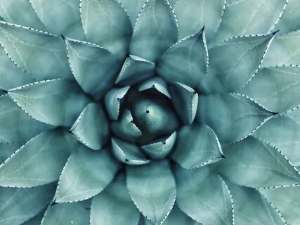 Кокон Совершенства. Быстрый Вход в Ресурсное Состояние