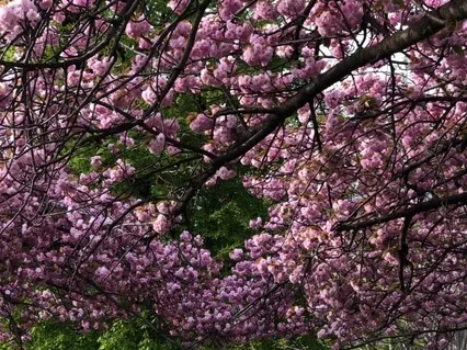 Медитация Любви к Себе