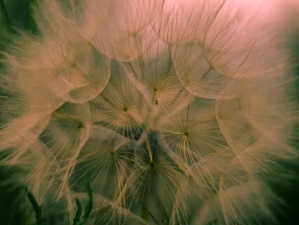 Медитация Мотивация Похудения