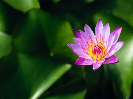 Медитация на Беременность и Усиление Женской Энергии