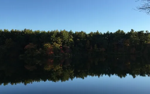 Медитация На Дыхание