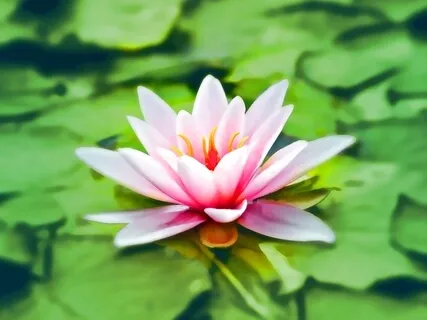 Медитация На Исцеление Отношений с Мамой