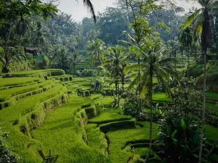 Медитация На Каждый День