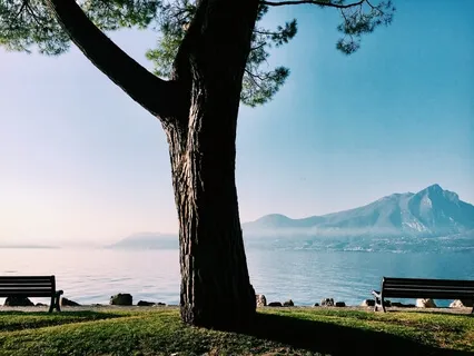 Медитация на Покой и Расслабление