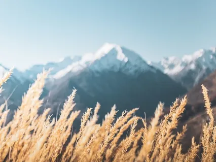 Преодоление Беспокойства