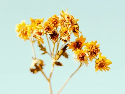 Медитация На Успех и Процветание. Практика Успешных Людей