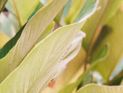 Медитация на Визуализацию Желаний