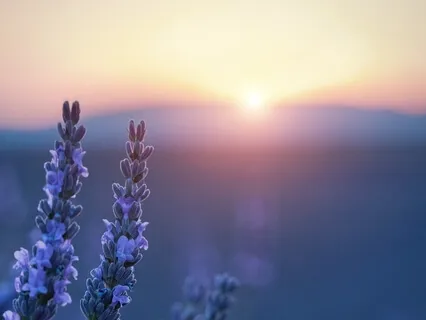 Медитация На Завершение Дня