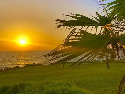 Джо Диспенза "Бесконечные возможности". Медитация Перед Сном