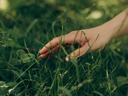  Медитація - Новий день