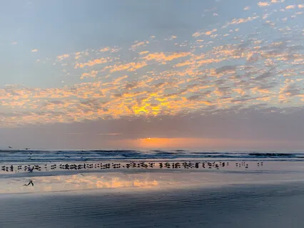 Медитация Очищения И Защиты