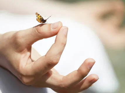 Медитация ощущений: Элетерия "Разговор с телом"