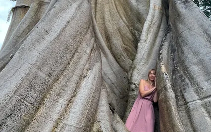 Медитация Осознанности