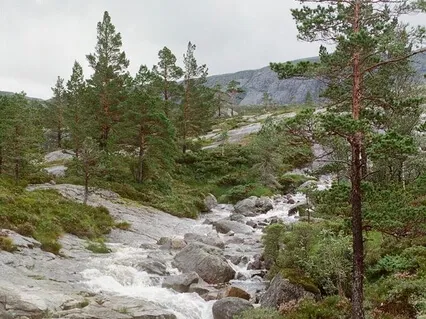 Медитация Осознанности и Спокойствия