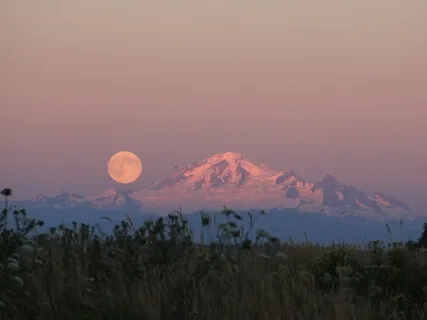 Медитация от Паники, Тревоги и Страха