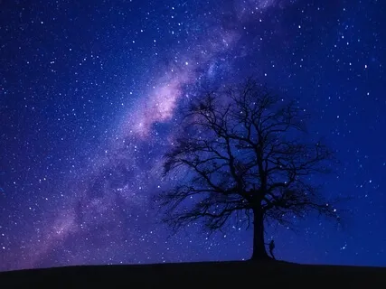 Медитация Перед Сном: Йога Нидра. 20 Минут