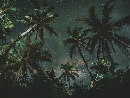 Медитация Перед Сном: Расслабление И Дыхание